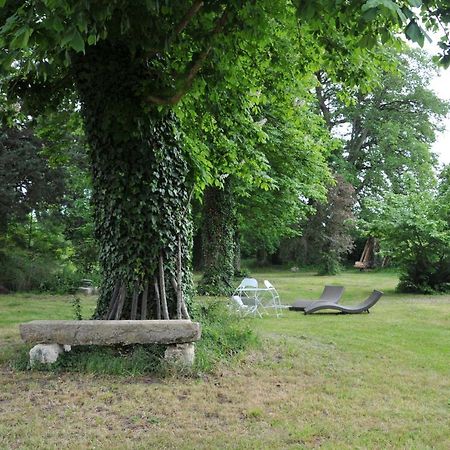 L'Orangerie du Château - LE NID - GITE 2 Personnes Brain-sur-Allonnes Exterior foto